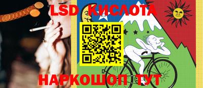шишки Кингисепп