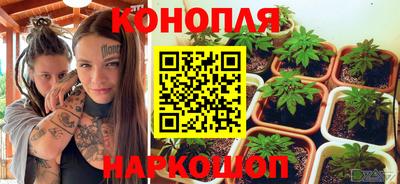 ПСИЛОЦИБИНОВЫЕ ГРИБЫ Кинель
