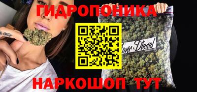 гидра Кимры