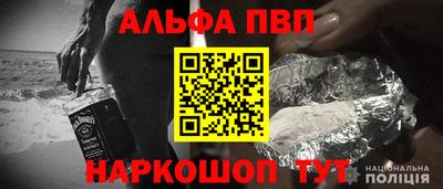 шишки Кингисепп
